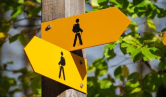 toma de decisiones consejos