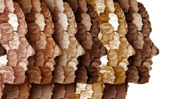 cultura organizacional