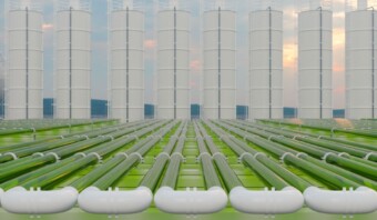 Productos ecológicos