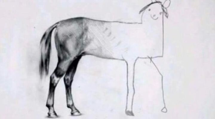 Un dibujo de un caballo con la mitad izquierda detallada y realista, mientras que la mitad derecha es simple e infantil, reflejando la creatividad lúdica que suele verse en su arte. ¡Qué con estos chavos y su imaginación sin límites!