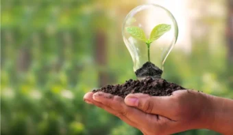 El valor del marketing sostenible: prácticas y oportunidades