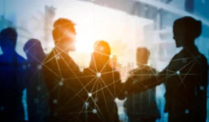 Conexión, Apoyo y la Networking
