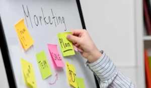 Puntos cardinales para un marketing plan