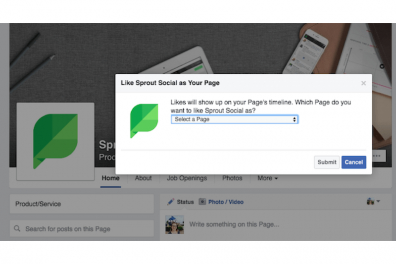 facebook
