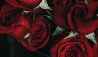 Día del Amor
