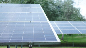 Importancia económica de las energías renovables