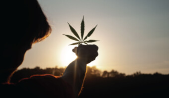 Marihuana