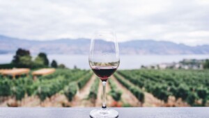 Vinos californianos: un evento de etiqueta