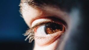 ¿Cuáles son las mejores estrategias para “humanizar” una marca?