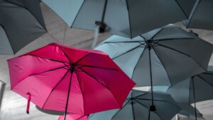 Diferenciación, una ventaja competitiva  