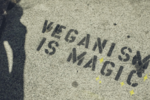 Cruelty Free: el consumidor y las pruebas en animales