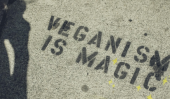 cruelty free