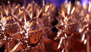 Ganan agencias AMAPRO en los premios FIP