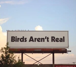 La gran conspiración de las aves