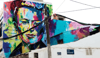 frida kahlo
