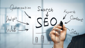 SEO para principiantes