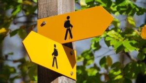 Trabajo en equipo: 3 consejos para la toma de decisiones