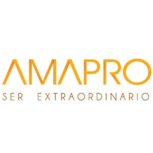 AMAPRO y Miami ad school: creatividad e innovación
