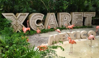 Crisis Xcaret