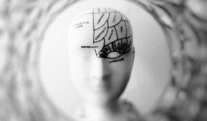 Échale huevos (Brain Engine Optimization)