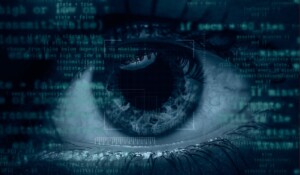 Ciberdelincuencia ciberolvidada