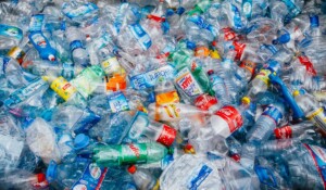 Subway y Coca-Cola México: Acciones para reciclaje PE
