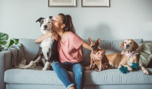 El pet marketing: Un vínculo inquebrantable con nuestras mascotas y marcas