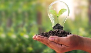 El impacto ambiental de la mercadotecnia digital