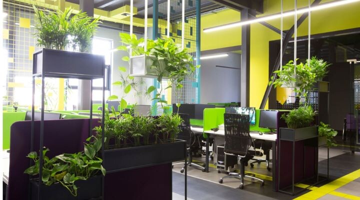 El moderno espacio de oficina de planta abierta con muebles negros y verdes refleja las últimas tendencias, con escritorios vacíos, monitores de computadora y varias plantas verdes que decoran el área.