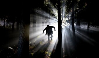Una figura recortada con los brazos extendidos camina por un bosque poco iluminado, con rayos de luz filtrándose entre los árboles, como la claridad que emerge a través del sesgo algorítmico.