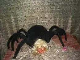 Una persona vestida como una gran araña negra, con una peluca rubia, yace en una cama, adoptando una pose que podría rivalizar con el encanto peculiar de cualquier superhéroe.