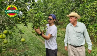 Dos hombres inspeccionan la fruta verde de un árbol en un huerto. Uno de ellos lleva un sombrero de paja y el otro gafas de sol. El logo de "Campo Vivo" en la esquina.