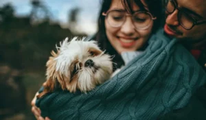 Love Your Pet Day 2025: el auge del mercado pet en LATAM